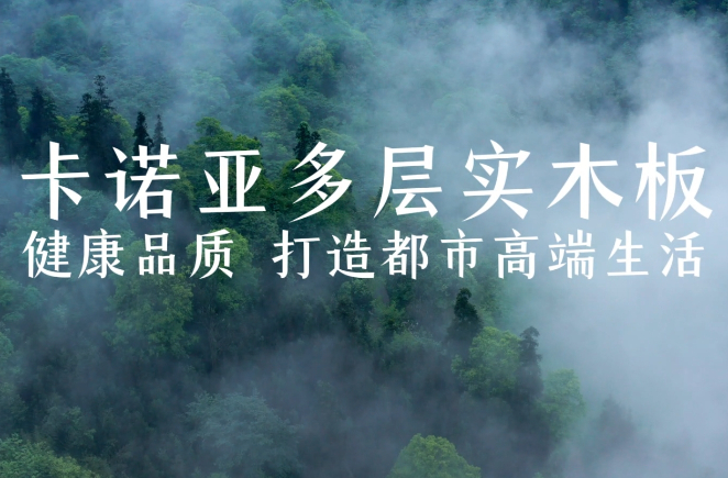 91视频污版下载多层实木板，环保品质再升级